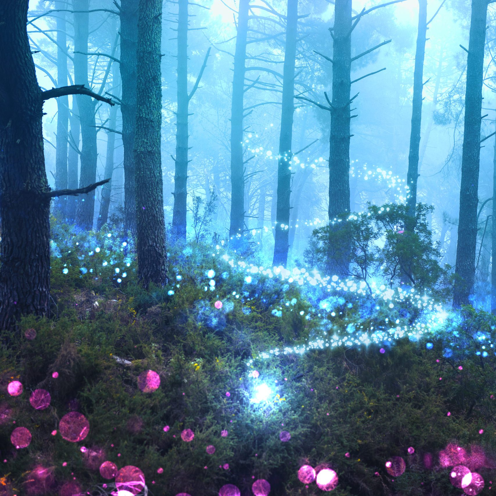 magical-nighttime-landscape-with-sparkly-lights